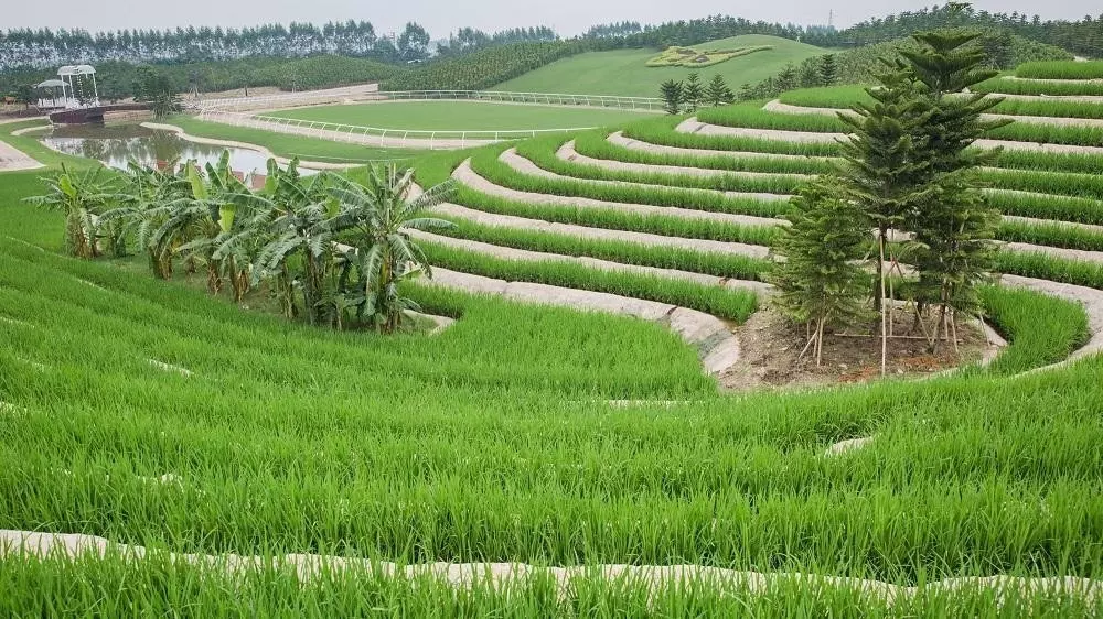 大信·新都汇水景广场图片