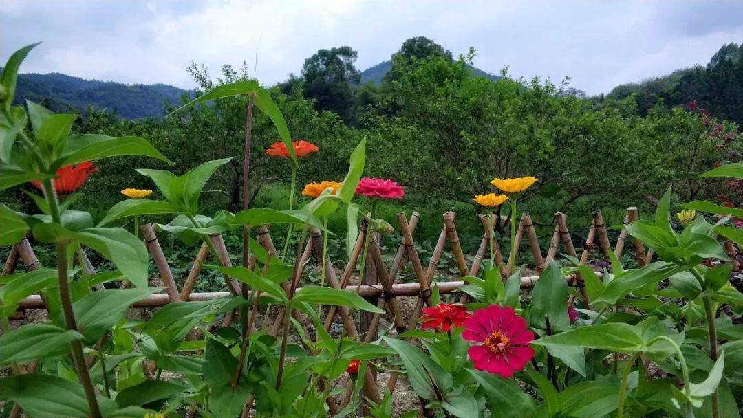 汕尾南万花海生态度假区景区天气预报