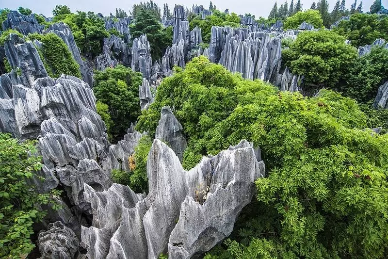 石林岩溶峰林图片