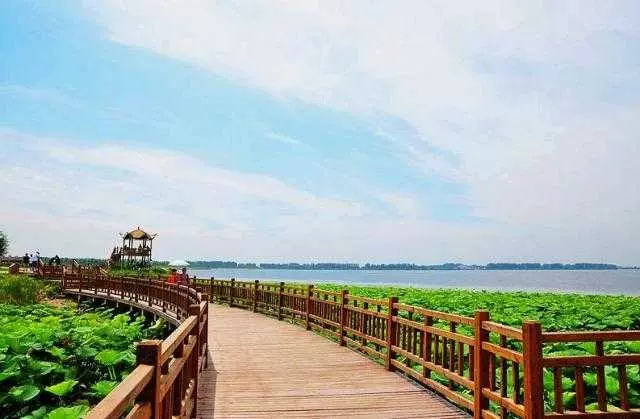 辽中县珍珠湖图片