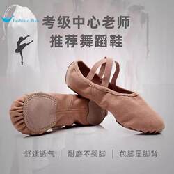 Full Elastic Fabric Adult Dance Shoes for Women, Soft-Soled Practice Shoes That Don'T Tire the Feet, Yoga Shoes, Cat Paw Shoes, Ballet Shoes for Body Shaping