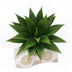 Simulated agave tiger piran fake green plant Nordic tropical desert plant agave succulent plant landscaping decoration
