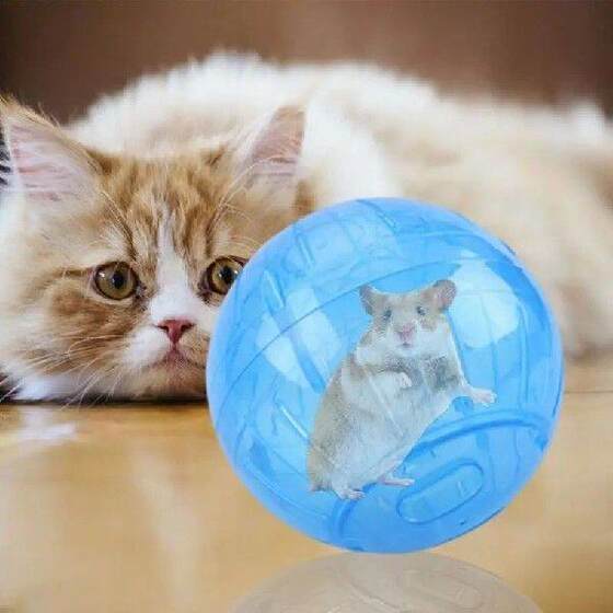 Hamster Running Balls Exercise Running Hamster Wheel For