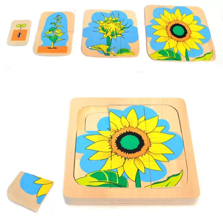 向日葵成长过程1 3岁宝宝早教教具幼儿童玩具益智力木