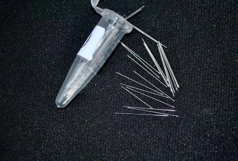 000#微针[用于蝇,蚊等极小虫体标本制作]100支/罐/可开票
