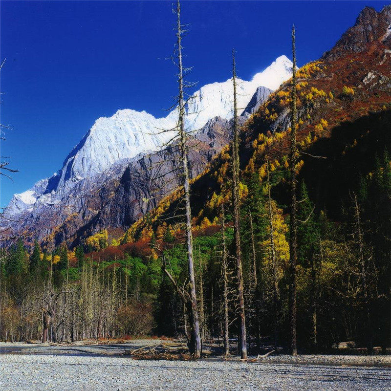 成都周边游 川西阿坝州四姑娘山 毕棚沟双桥沟长坪沟2日跟团纯玩