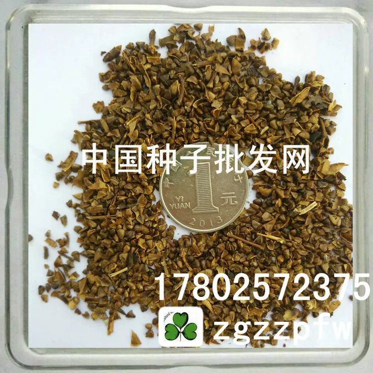 紫薇種子 速生紫薇樹矮紫薇花種 美國紅火箭 百日紅紅花紫薇種子