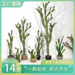 Nordic large simulation plant tropical green plant cactus desert plant decoration landscaping with potted cactus potted plant