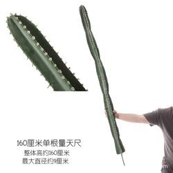 Nordic simulated immortal pillars large floor-standing tropical desert green plant measurement ruler fake cactus potted window decoration