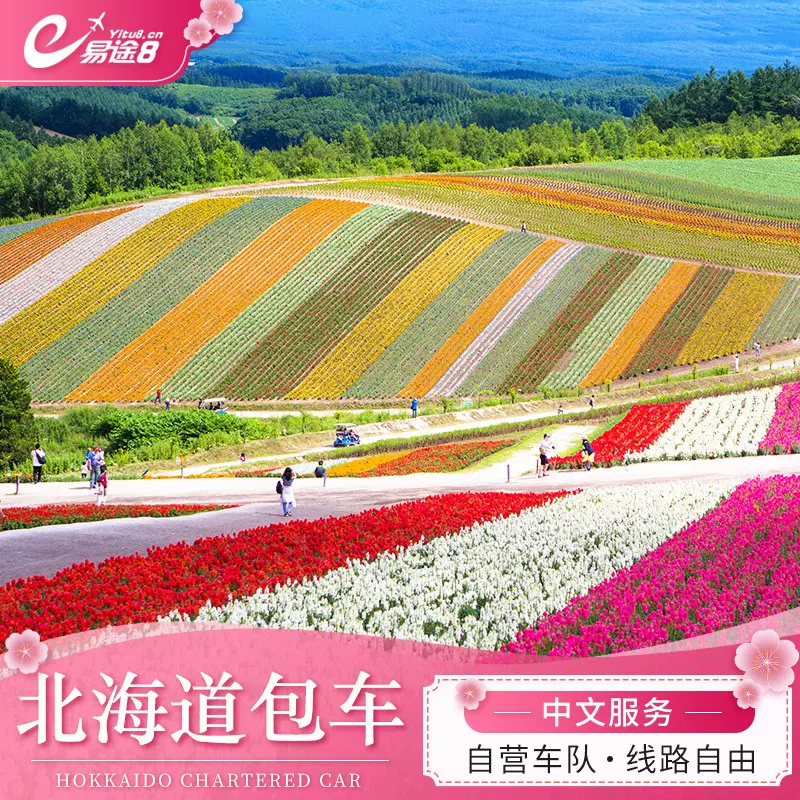 日本北海道包車自由行札幌到富良野小樽登別洞爺湖旭川函館一