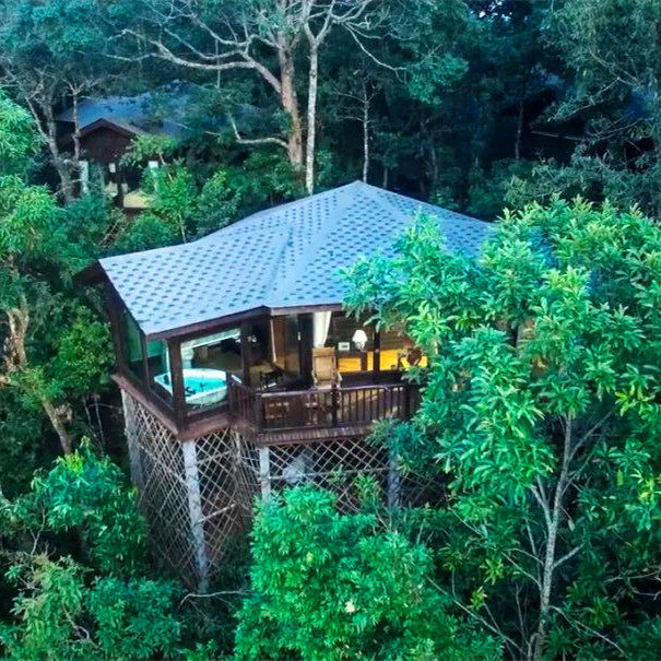 私家团西双版纳普洱6天【住小熊猫庄园独栋木屋别墅+安纳塔拉】 - 定制游预订