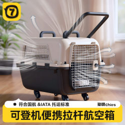 Pet Cat and Dog Airline Crate, International Airline Crate, Large Crate for Travel, Airplane Shipping, Car Shipping, Dog Cage