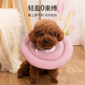 Elizabeth Circle Cat Neck Circle Cat Bargain
