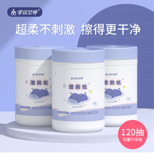 Wet toilet paper bucket 120 Pumping women's private parts care, fart wet toilet towel, family large barrel, sanitary cleaning toilet paper
