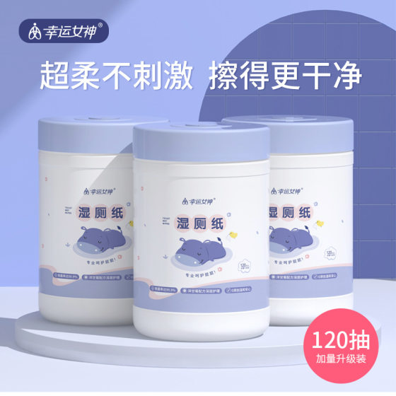 Wet toilet paper bucket 120 Pumping women's private parts care, fart wet toilet towel, family large barrel, sanitary cleaning toilet paper
