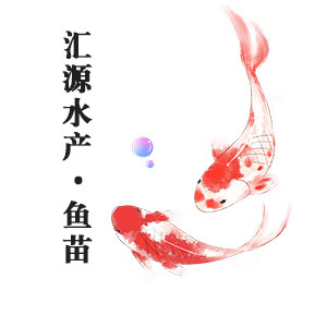 汇源水产鱼苗