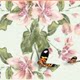 椰菜娃娃日本大创代购