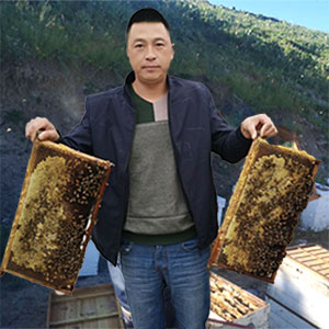 新疆杨老四黑蜂蜂蜜