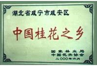 桂花之乡xin希望苗圃的LOGO