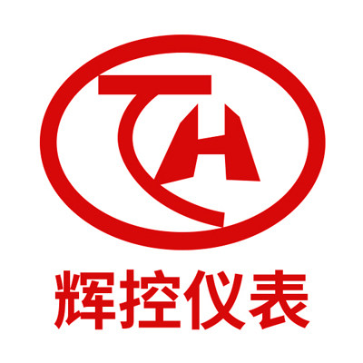辉控仪表企业店