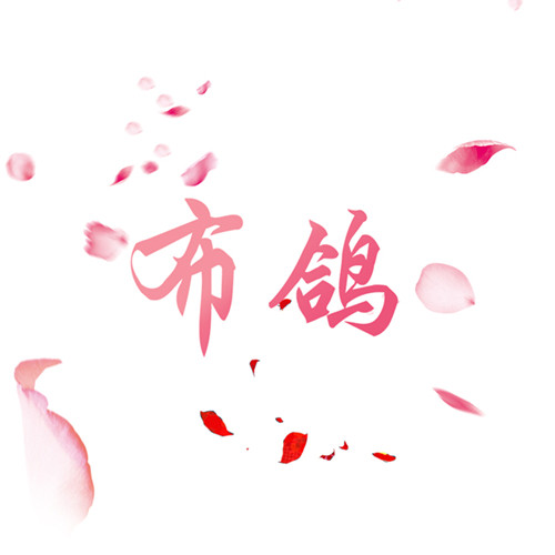 布鸽数码