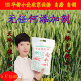 河南白皛白农家土特产的LOGO