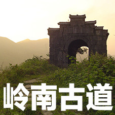 岭南古道  2026岭南晚熟荔枝