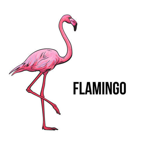 Flamingo Tex