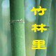 竹林里工艺店