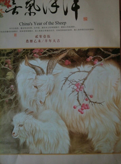 红梅羊绒