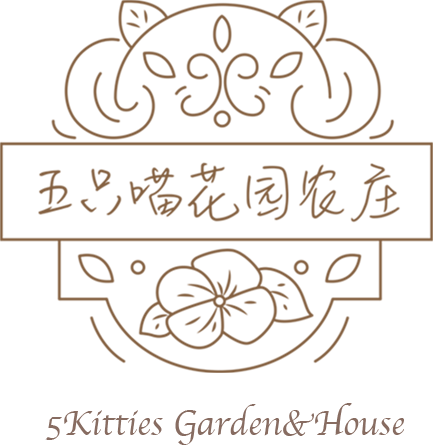 神仙堇 五只喵花园农庄