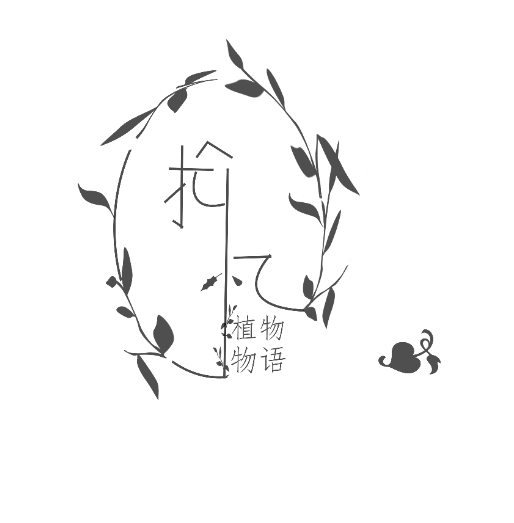 拾忆杯纸