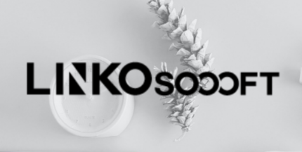 LINKO SOOOFT的LOGO