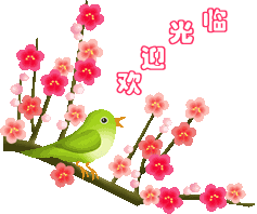 多彩生活电器城