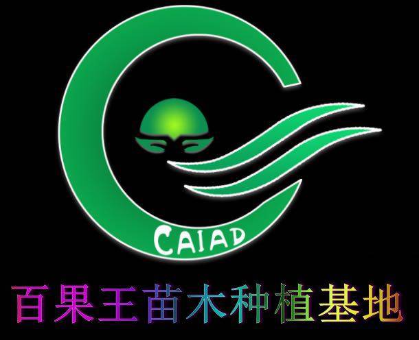 恒盛绿化苗木种植基地
