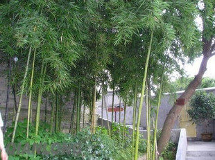 谦谦君子花卉植物用品企业店的LOGO
