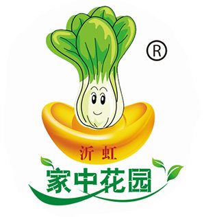 阳台菜园518