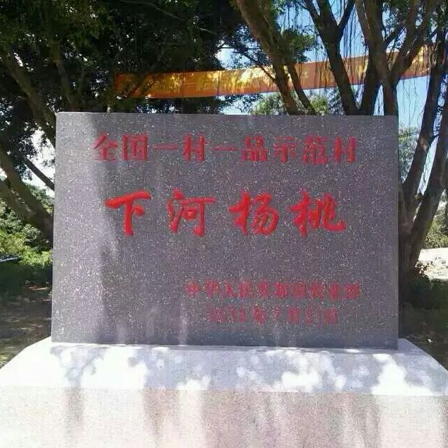 下河杨桃农民店的LOGO