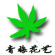 上海青梅花艺工厂店
