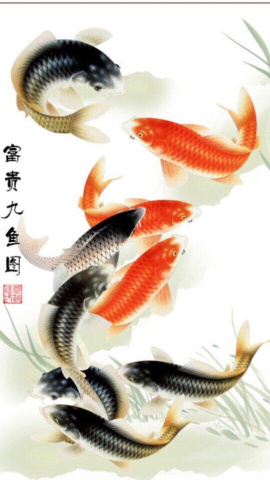 千衣百度蝶恋坊