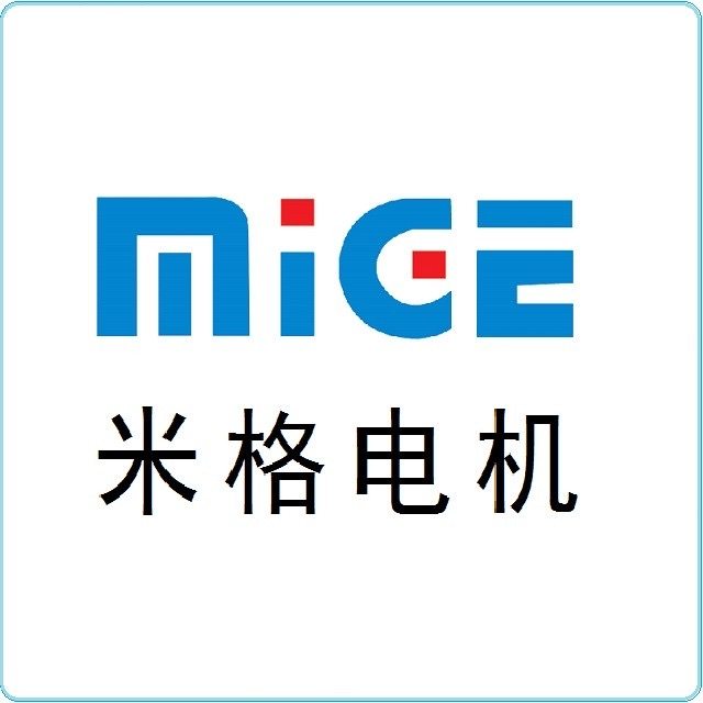 杭州米格电机