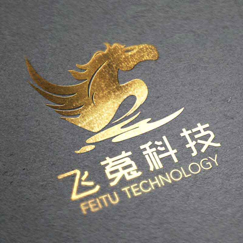 飞菟科技的LOGO