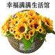 满满幸福生活馆的LOGO