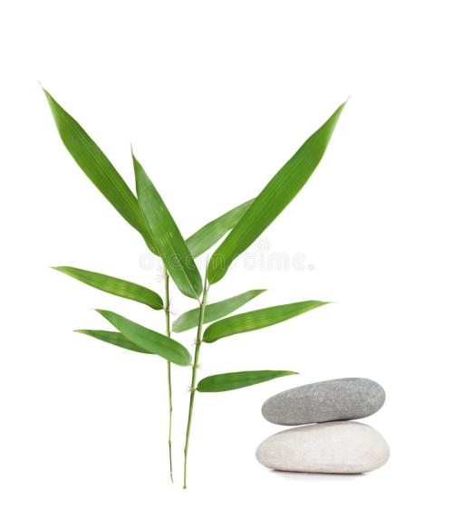 圆梦好物