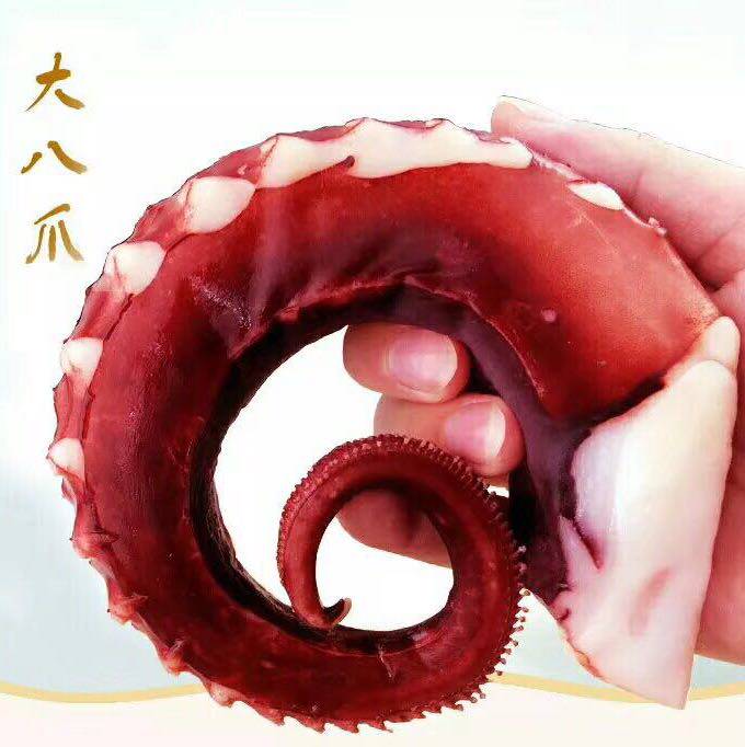 猪八戒海鲜