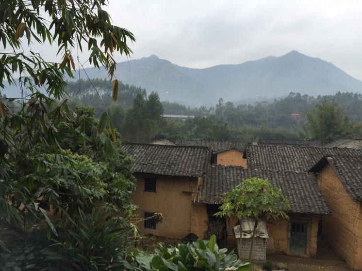 奇迹山草药