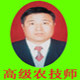 三系大葱