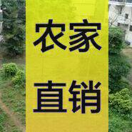 广东农家直销店的LOGO