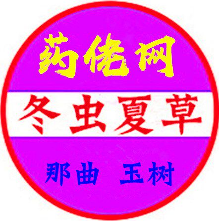 药佬网冬虫夏草