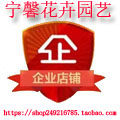 宁馨园艺的LOGO